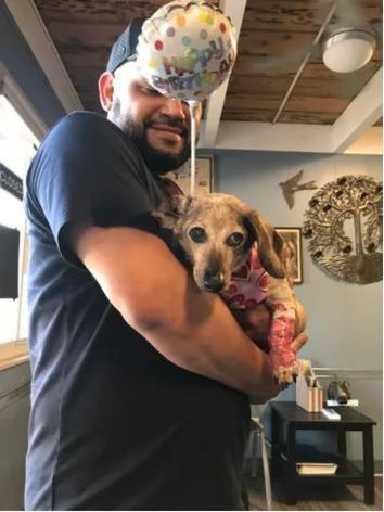 Person holding dog