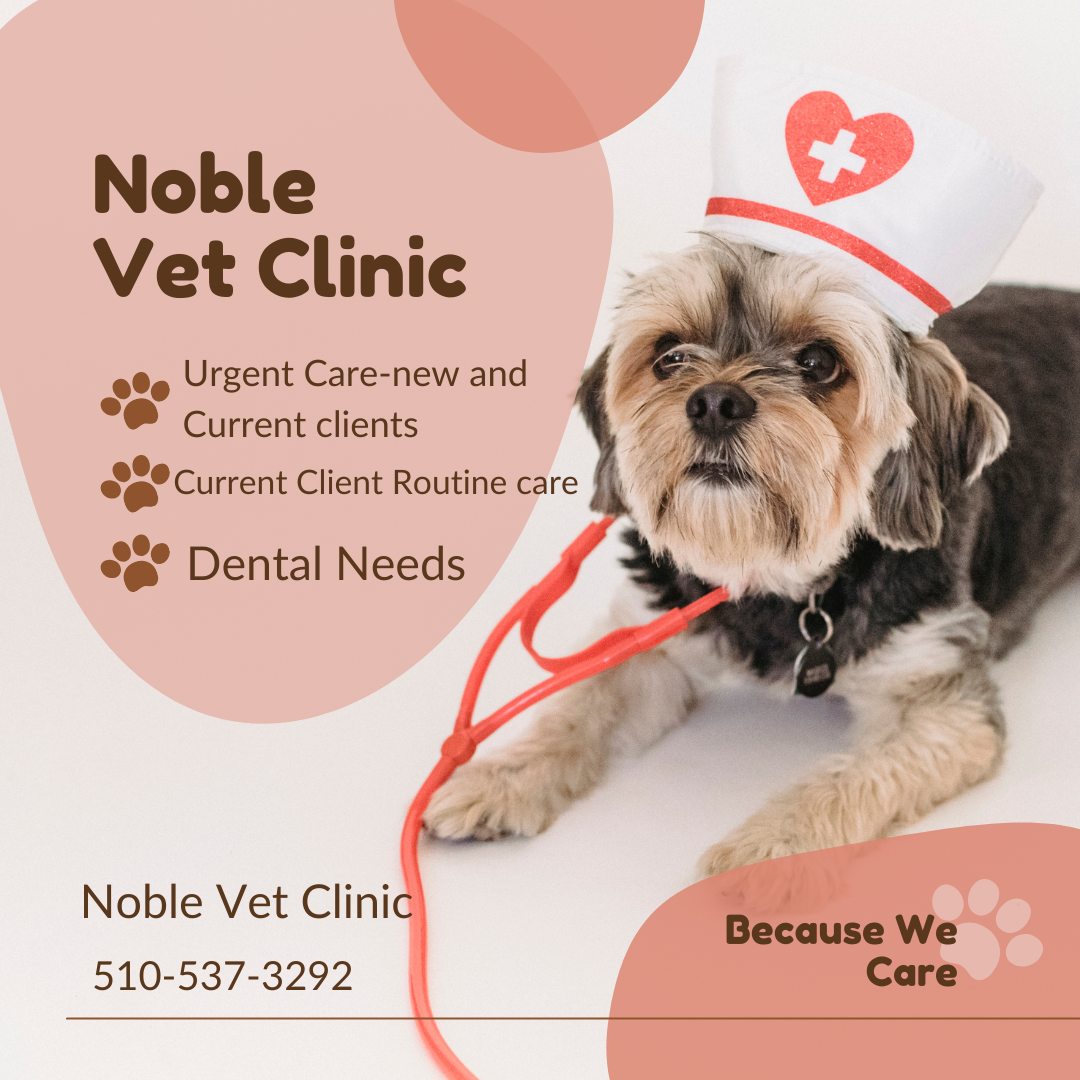 Nobile Veterinary Clinic is there for your dental needs and urgent care!